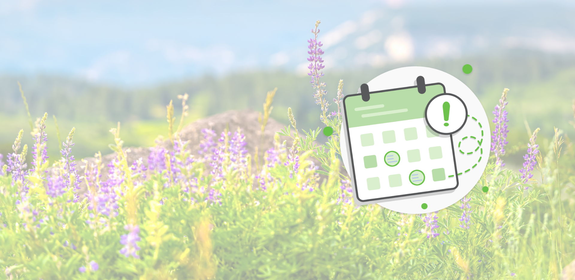 Seasonal Tips Spring Calendar Winner