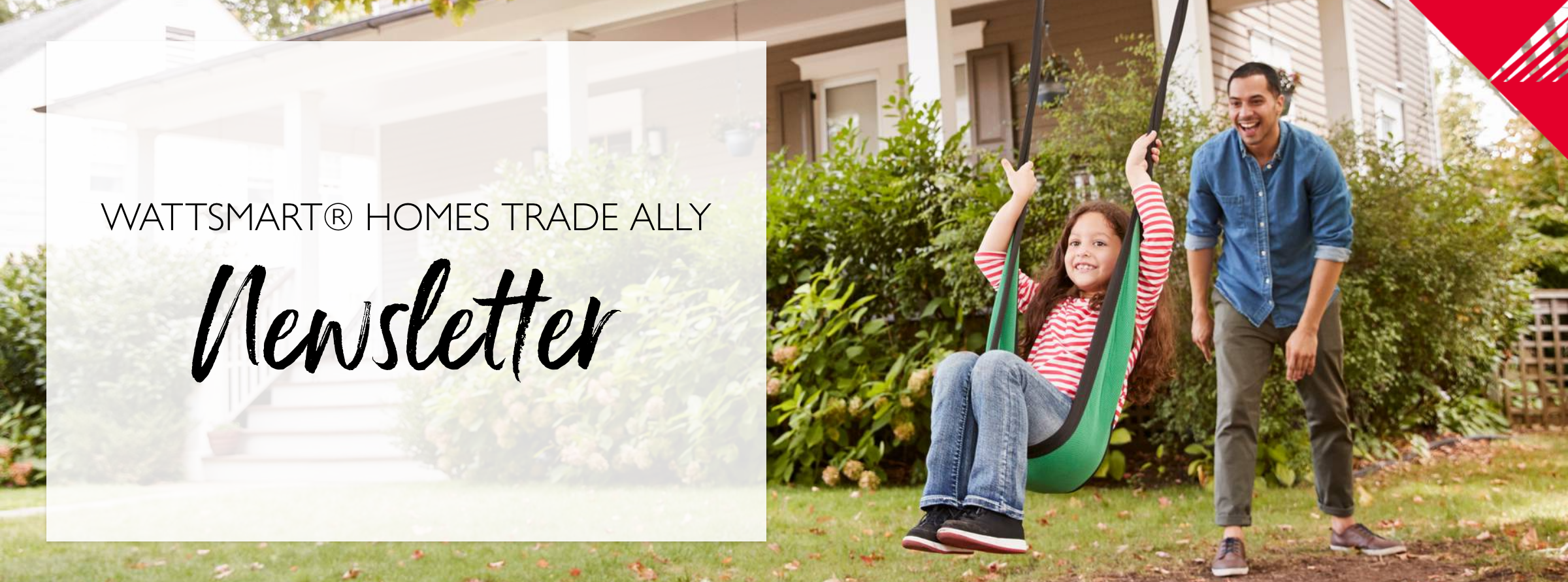 Vendor Newsletter November 2024